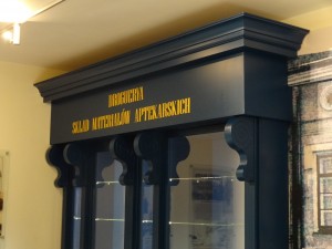 Witryna biblioteka na wymiar